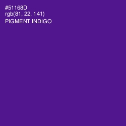 #51168D - Pigment Indigo Color Image