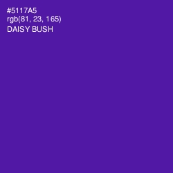 #5117A5 - Daisy Bush Color Image