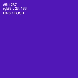 #5117B7 - Daisy Bush Color Image