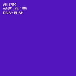 #5117BC - Daisy Bush Color Image