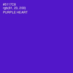 #5117C8 - Purple Heart Color Image