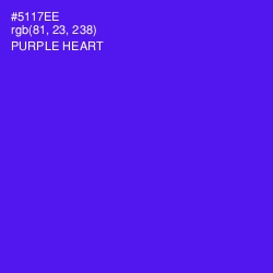 #5117EE - Purple Heart Color Image