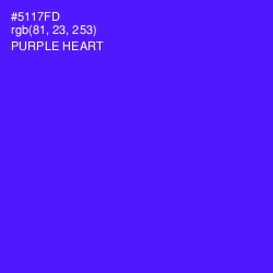 #5117FD - Purple Heart Color Image