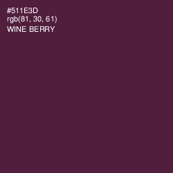 #511E3D - Wine Berry Color Image