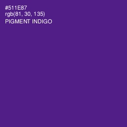 #511E87 - Pigment Indigo Color Image