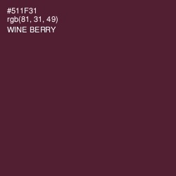 #511F31 - Wine Berry Color Image