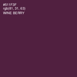 #511F3F - Wine Berry Color Image