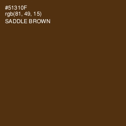 #51310F - Saddle Brown Color Image