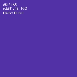 #5131A5 - Daisy Bush Color Image