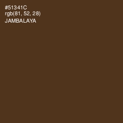 #51341C - Jambalaya Color Image