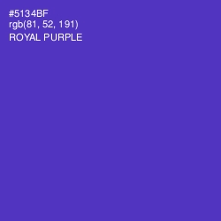 #5134BF - Royal Purple Color Image