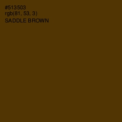 #513503 - Saddle Brown Color Image