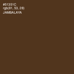 #51351C - Jambalaya Color Image
