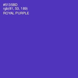 #5135BD - Royal Purple Color Image