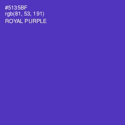 #5135BF - Royal Purple Color Image