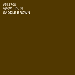 #513700 - Saddle Brown Color Image