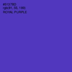 #5137BD - Royal Purple Color Image