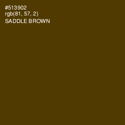 #513902 - Saddle Brown Color Image