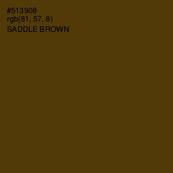 #513908 - Saddle Brown Color Image