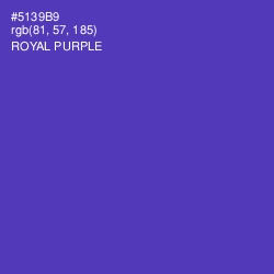 #5139B9 - Royal Purple Color Image