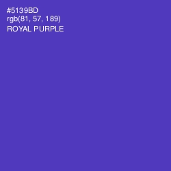 #5139BD - Royal Purple Color Image