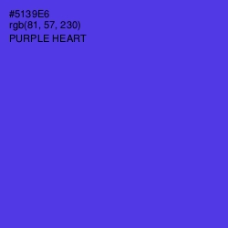 #5139E6 - Purple Heart Color Image