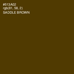 #513A02 - Saddle Brown Color Image