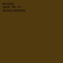 #513A0E - Saddle Brown Color Image