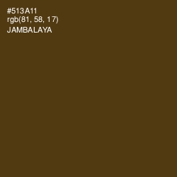 #513A11 - Jambalaya Color Image