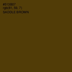 #513B07 - Saddle Brown Color Image