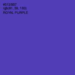 #513BB7 - Royal Purple Color Image