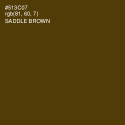 #513C07 - Saddle Brown Color Image