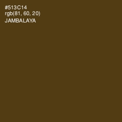 #513C14 - Jambalaya Color Image