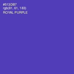 #513DB7 - Royal Purple Color Image