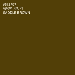 #513F07 - Saddle Brown Color Image