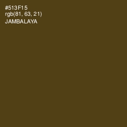 #513F15 - Jambalaya Color Image