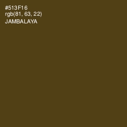 #513F16 - Jambalaya Color Image