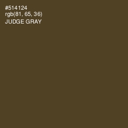 #514124 - Judge Gray Color Image