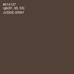 #514137 - Judge Gray Color Image