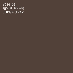 #514138 - Judge Gray Color Image