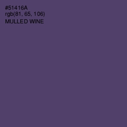 #51416A - Mulled Wine Color Image