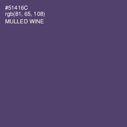 #51416C - Mulled Wine Color Image