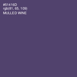 #51416D - Mulled Wine Color Image