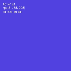 #5141E1 - Royal Blue Color Image
