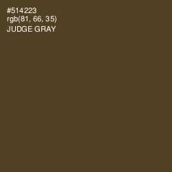 #514223 - Judge Gray Color Image