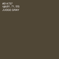 #514737 - Judge Gray Color Image