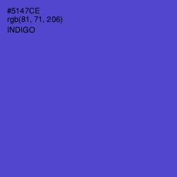 #5147CE - Indigo Color Image