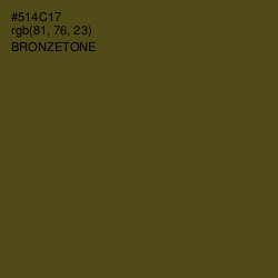 #514C17 - Bronzetone Color Image