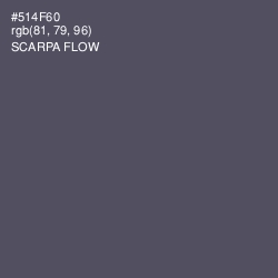 #514F60 - Scarpa Flow Color Image