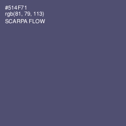 #514F71 - Scarpa Flow Color Image